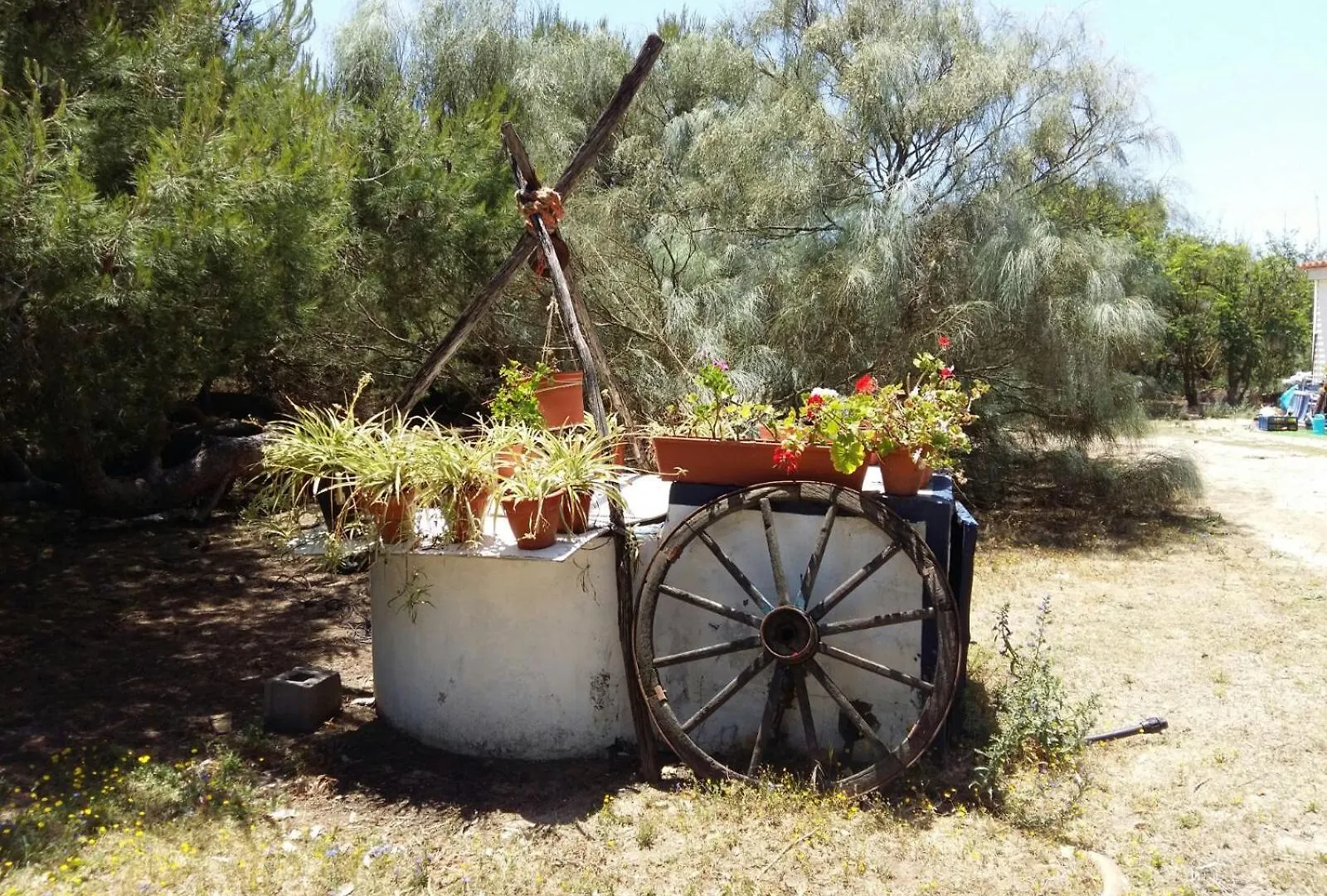 En Finca Las Dunas Dos Chalets Con Jacuzzis En Primera Linea De Playa , Uno De 4 Dormitorios Y Otro De 2 Dormitorios, Llama Al Seiscientos Veintisiete Cuatrocientos Diecisiete Trescientos Noventa Y Ocho Rota 0*,  Hiszpania