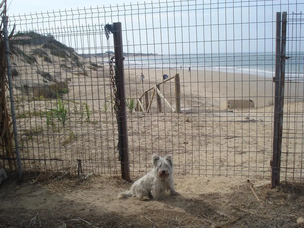 Finca Las Dunas: Beachfront Chalets with Jacuzzis Rota 0*,  Spain