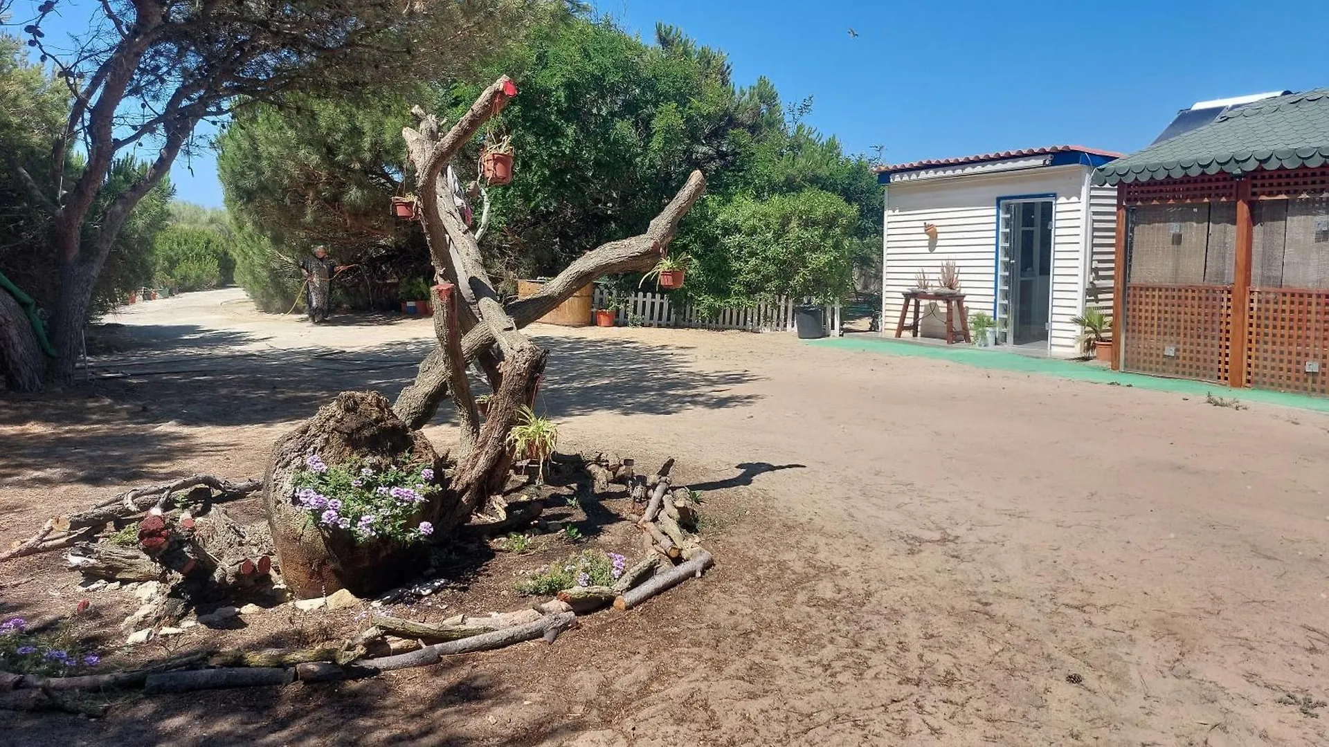Holiday home Finca Las Dunas: Beachfront Chalets with Jacuzzis Rota Spain