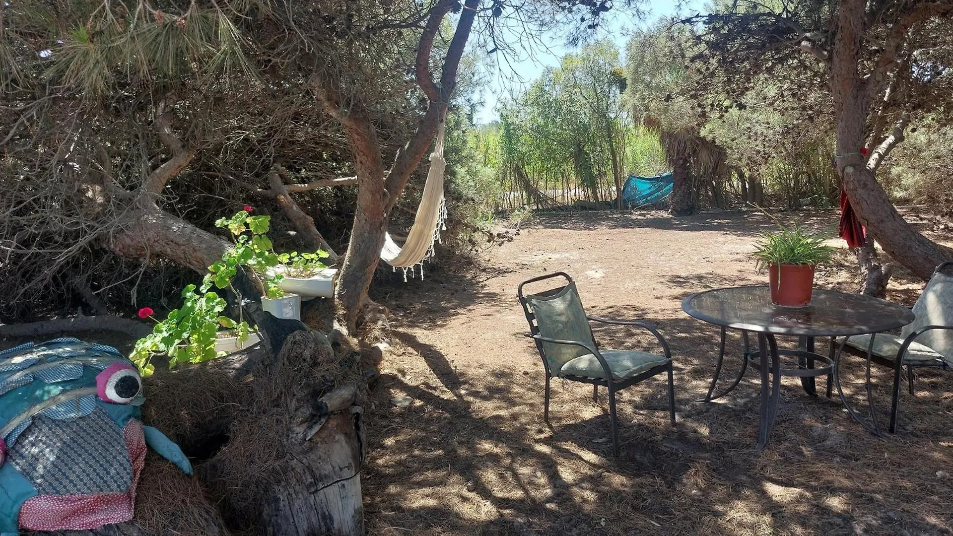 Finca Las Dunas: Beachfront Chalets with Jacuzzis Rota