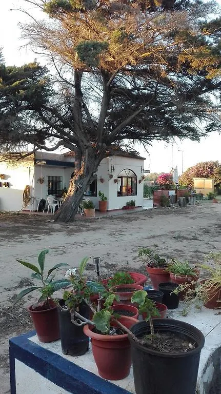 Finca Las Dunas: Beachfront Chalets with Jacuzzis Rota
