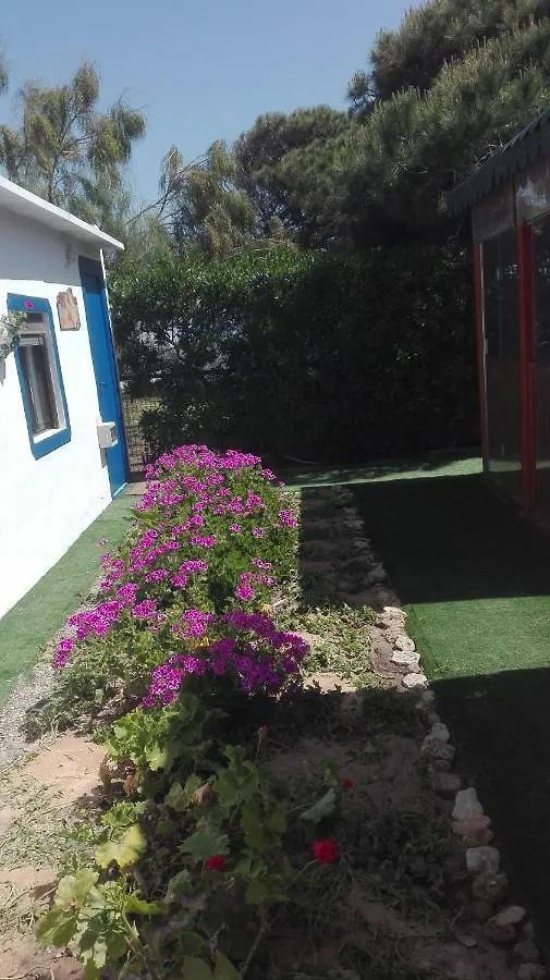 Finca Las Dunas: Beachfront Chalets with Jacuzzis Rota Spain