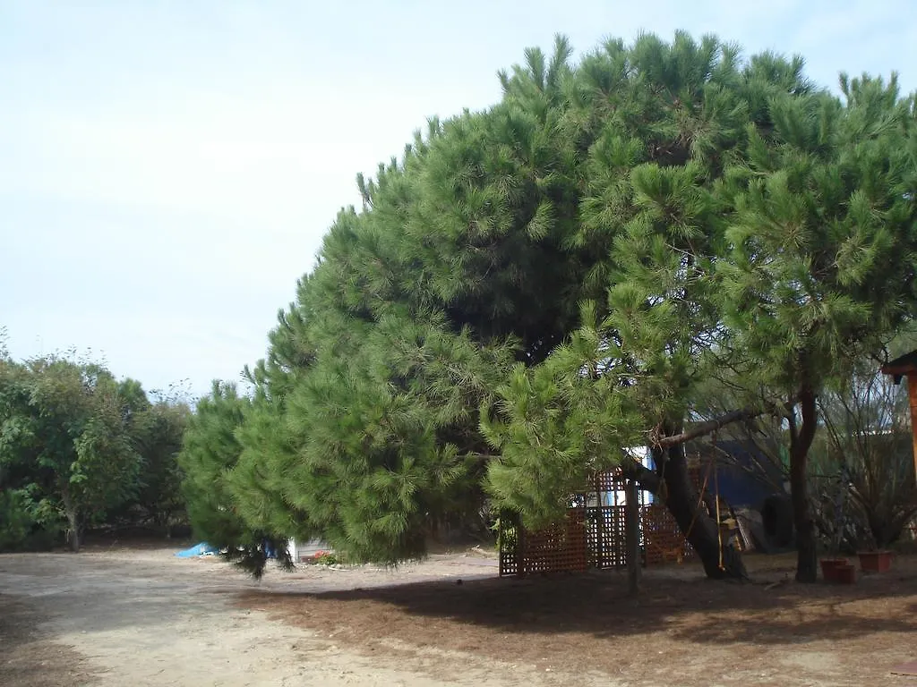 Finca Las Dunas: Beachfront Chalets with Jacuzzis Rota